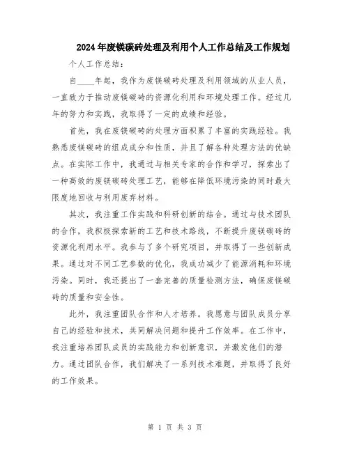 2024年废镁碳砖处理及利用个人工作总结及工作规划