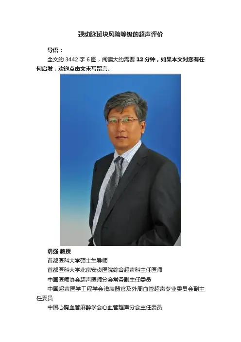 颈动脉斑块风险等级的超声评价