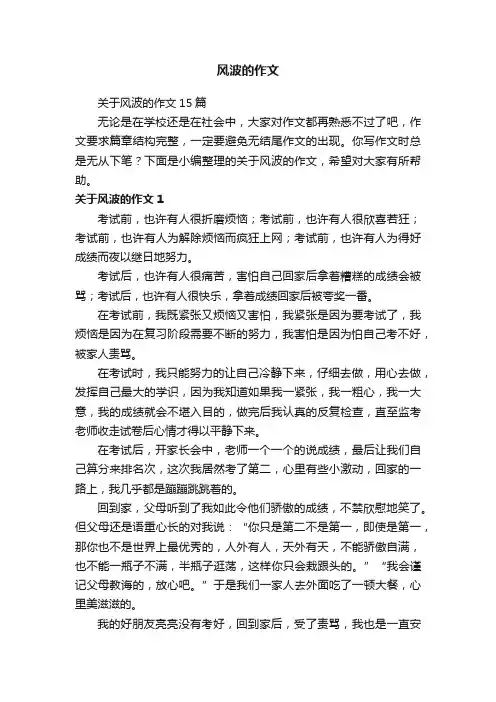 风波的作文