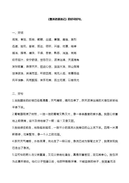 《鲁滨逊漂流记》的好词好句。