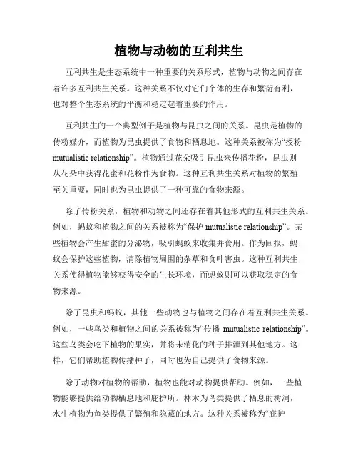 植物与动物的互利共生