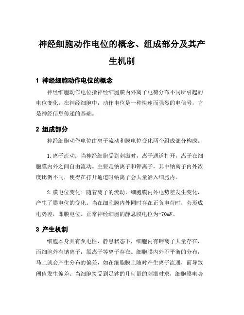 神经细胞动作电位的概念、组成部分及其产生机制