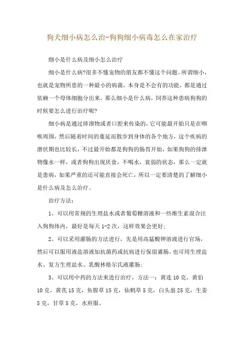 狗犬细小病怎么治-狗狗细小病毒怎么在家治疗