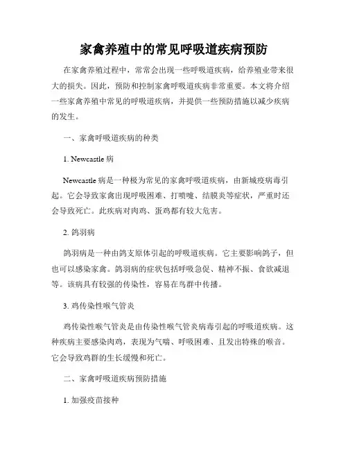 家禽养殖中的常见呼吸道疾病预防