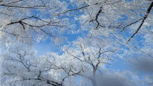 雪孩子讲解课件.pptx