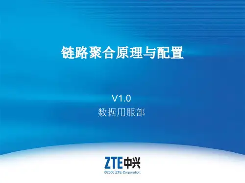 SJYF-CT0310-C1 链路聚合原理与配置