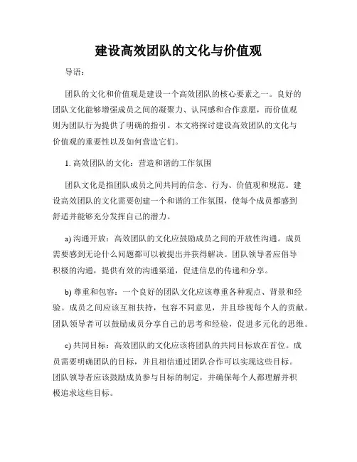 建设高效团队的文化与价值观