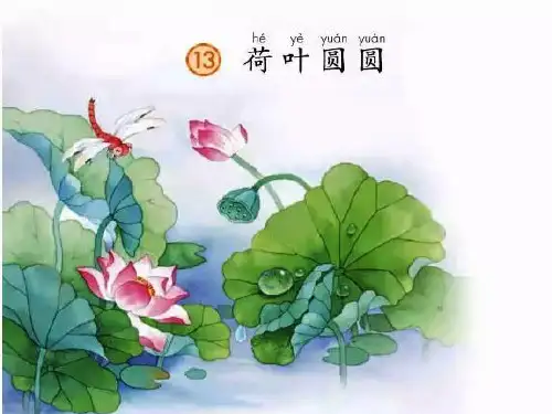 部编版一年级语文下册课文13.荷叶圆圆