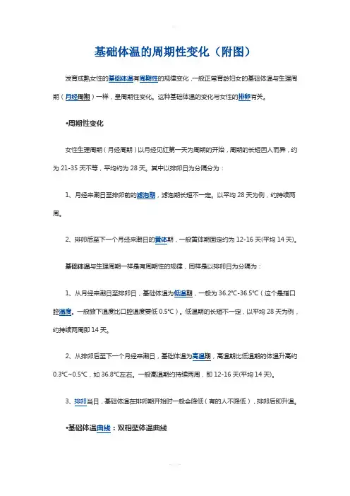 基础体温的周期性变化(附图)