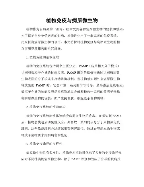 植物免疫与病原微生物