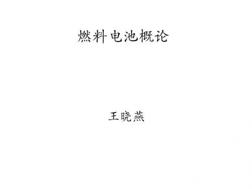 直接甲醇燃料电池
