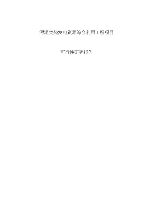 污泥焚烧发电资源综合利用工程可行性研究报告