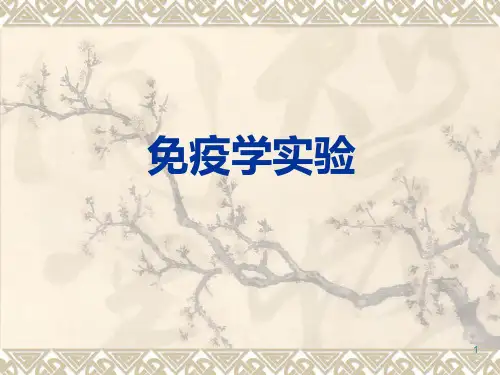 92上课 免疫细胞观察PPT课件
