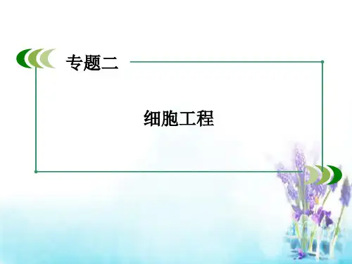 人教版高中生物选修3专题2《细胞工程》ppt总结课件