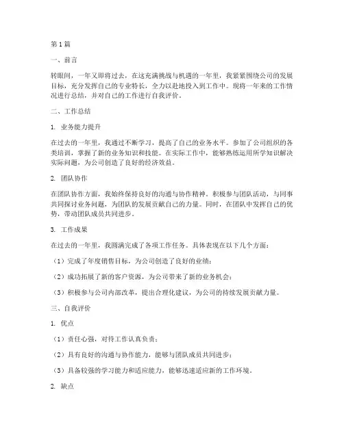 年度总结及自评报告(3篇)