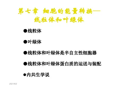 叶绿体和线粒体ppt课件