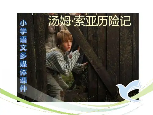 《汤姆·索亚历险记》ppt课件最新完美版