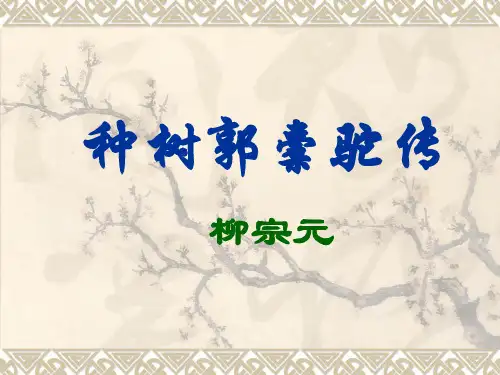 《种树郭橐驼传》ppt课件