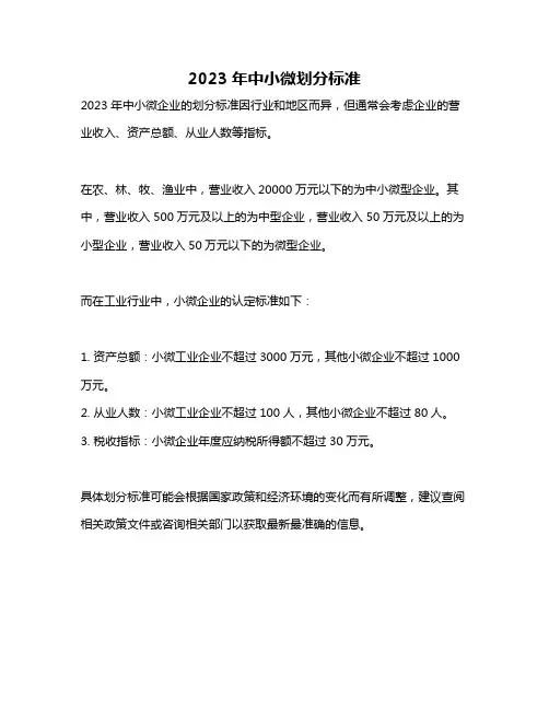 2023年中小微划分标准