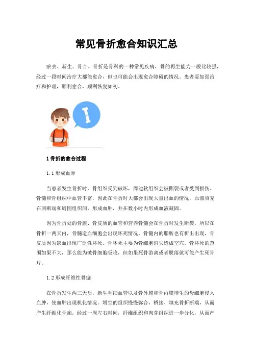 常见骨折愈合知识汇总