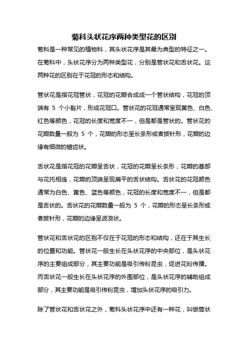 菊科头状花序两种类型花的区别