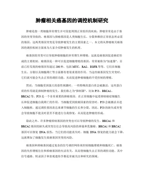 肿瘤相关癌基因的调控机制研究