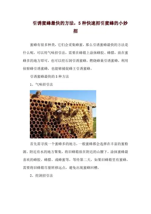 引诱蜜蜂最快的方法,5种快速招引蜜蜂的小妙招