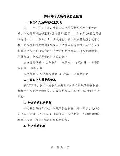 2024年个人所得税自查报告