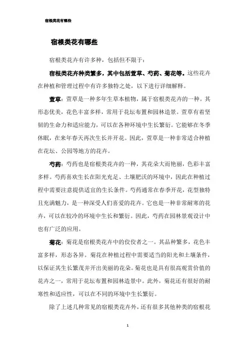 宿根类花有哪些