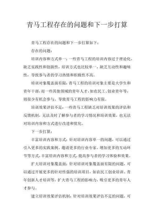 青马工程存在的问题和下一步打算