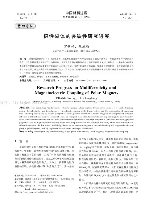 极性磁体的多铁性研究进展