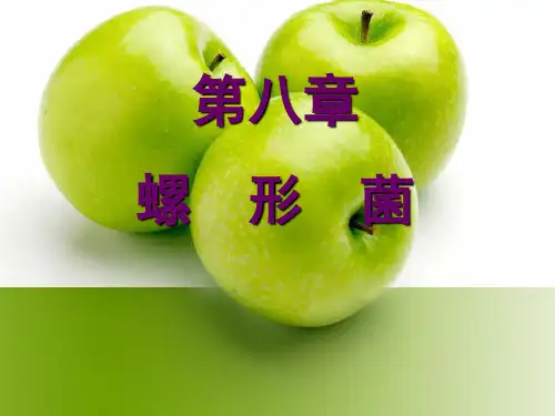第8章  螺形菌