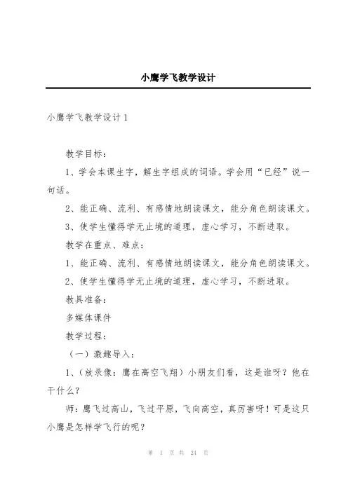 小鹰学飞教学设计