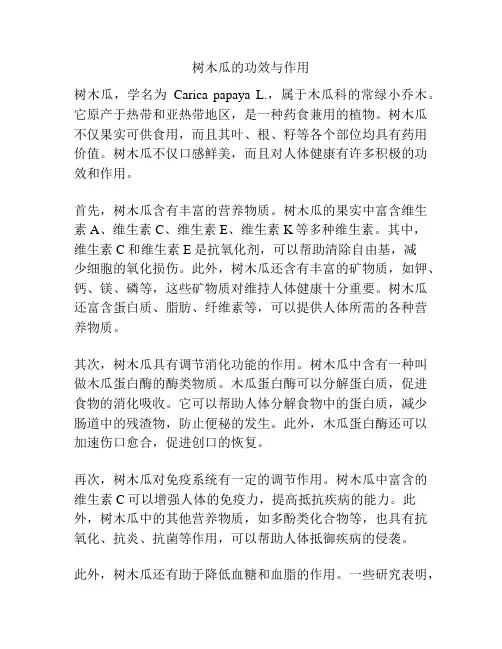 树木瓜的功效与作用