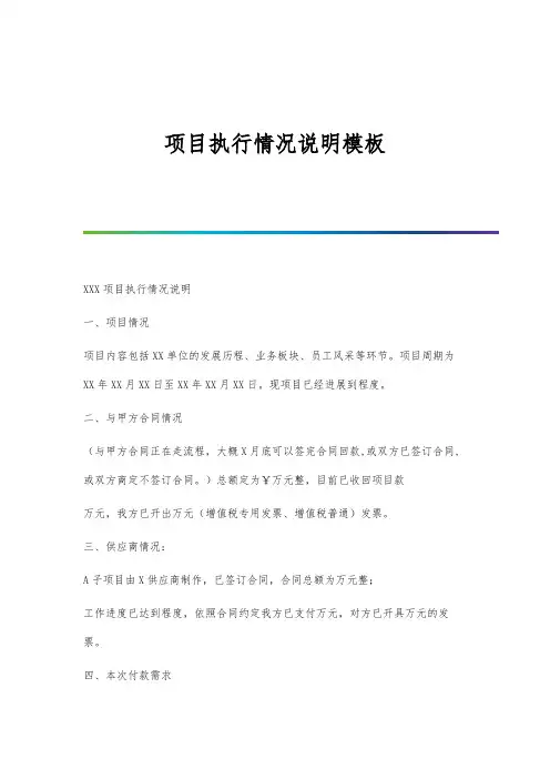 项目执行情况说明模板