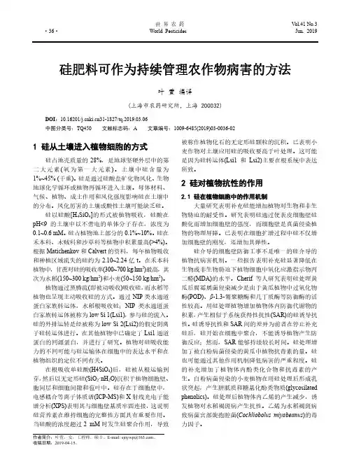 硅肥料可作为持续管理农作物病害的方法