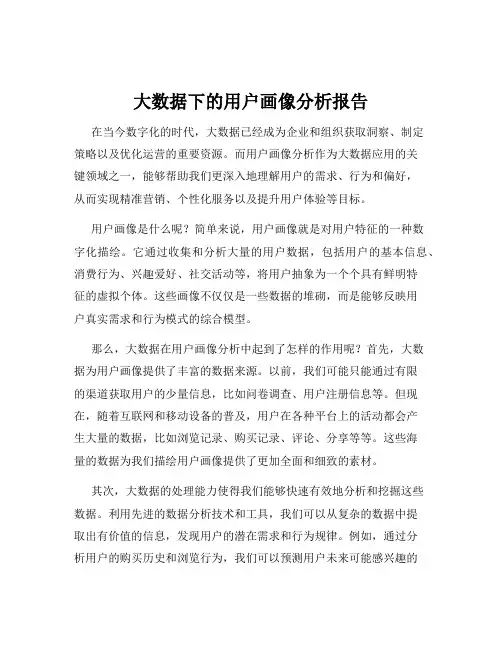 大数据下的用户画像分析报告
