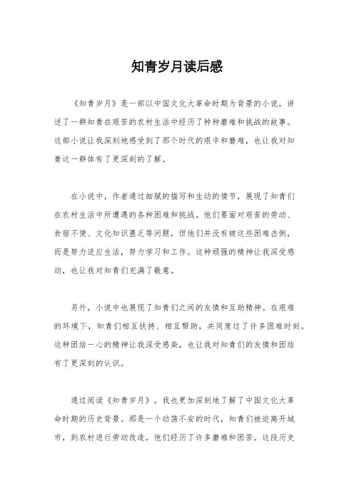 知青岁月读后感