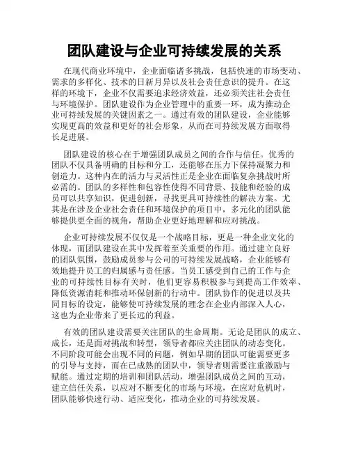 团队建设与企业可持续发展的关系