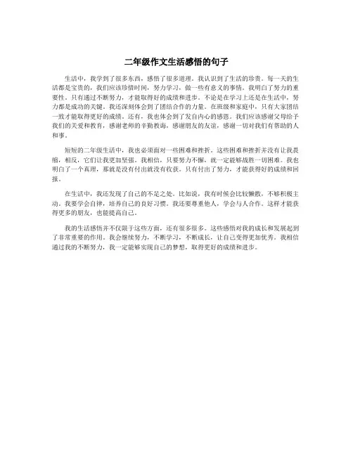 二年级作文生活感悟的句子