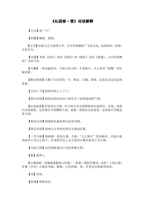 《沁园春·雪》词语解释(部编人教版九年级语文上册第1课)
