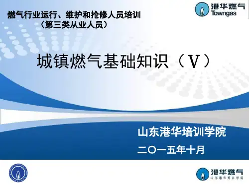 城镇燃气基础知识-第五章