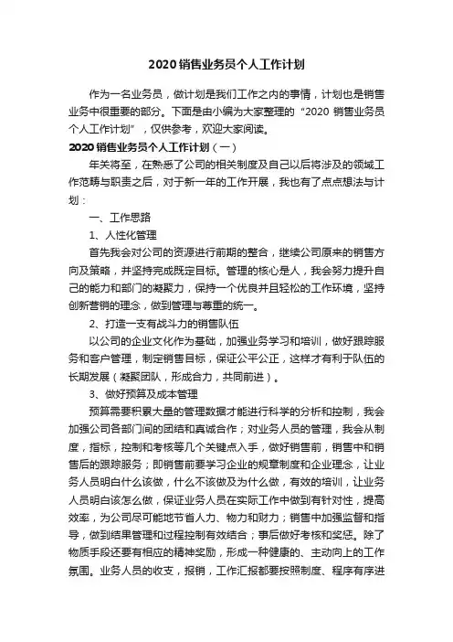 2020销售业务员个人工作计划