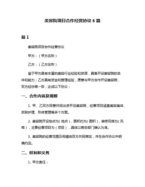 美容院项目合作经营协议6篇