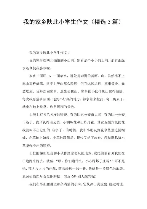 我的家乡陕北小学生作文(精选3篇)