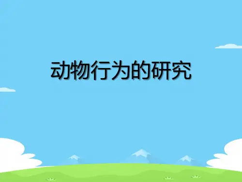 《动物行为的研究》PPT课件【精选推荐下载】