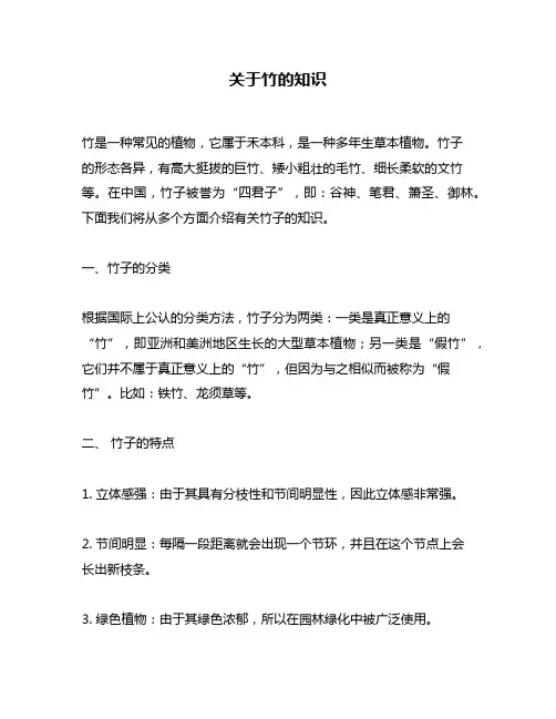 关于竹的知识