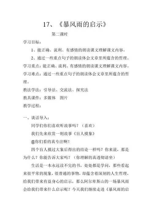 西南师大版六年级语文下册《五单元  17 暴风雨的启示》教案_1