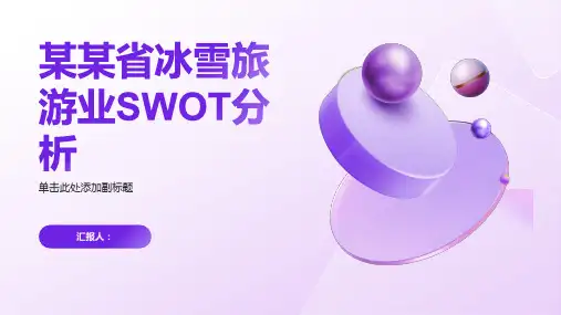 某某省冰雪旅游业SWOT分析
