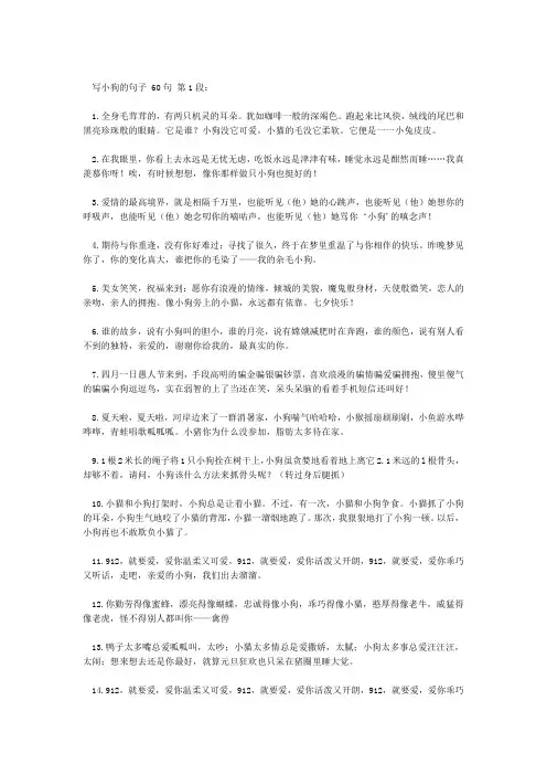 写小狗的句子 60句